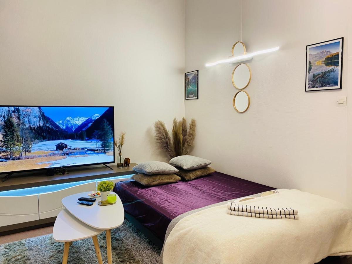 Lyon Full Entier Appartement Dış mekan fotoğraf